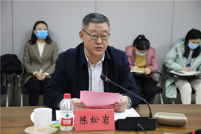 图片3 专家组组长陈松岩经理讲话.png