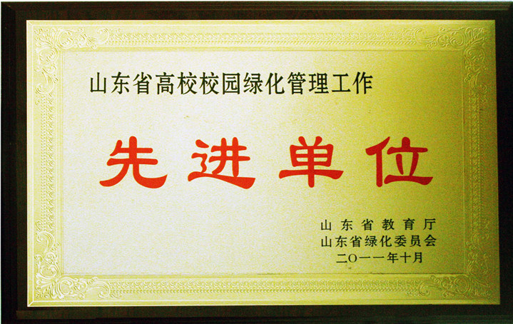 1569643619110442.jpg 1.jpg